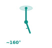 Popliteal ~160°