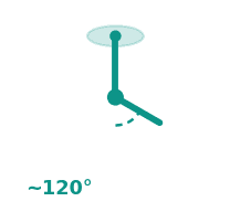 Popliteal ~120°