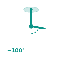 Popliteal ~100°