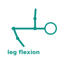 Leg flexion