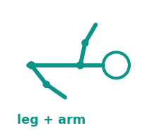 Leg + arm flexion