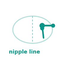 Nipple line